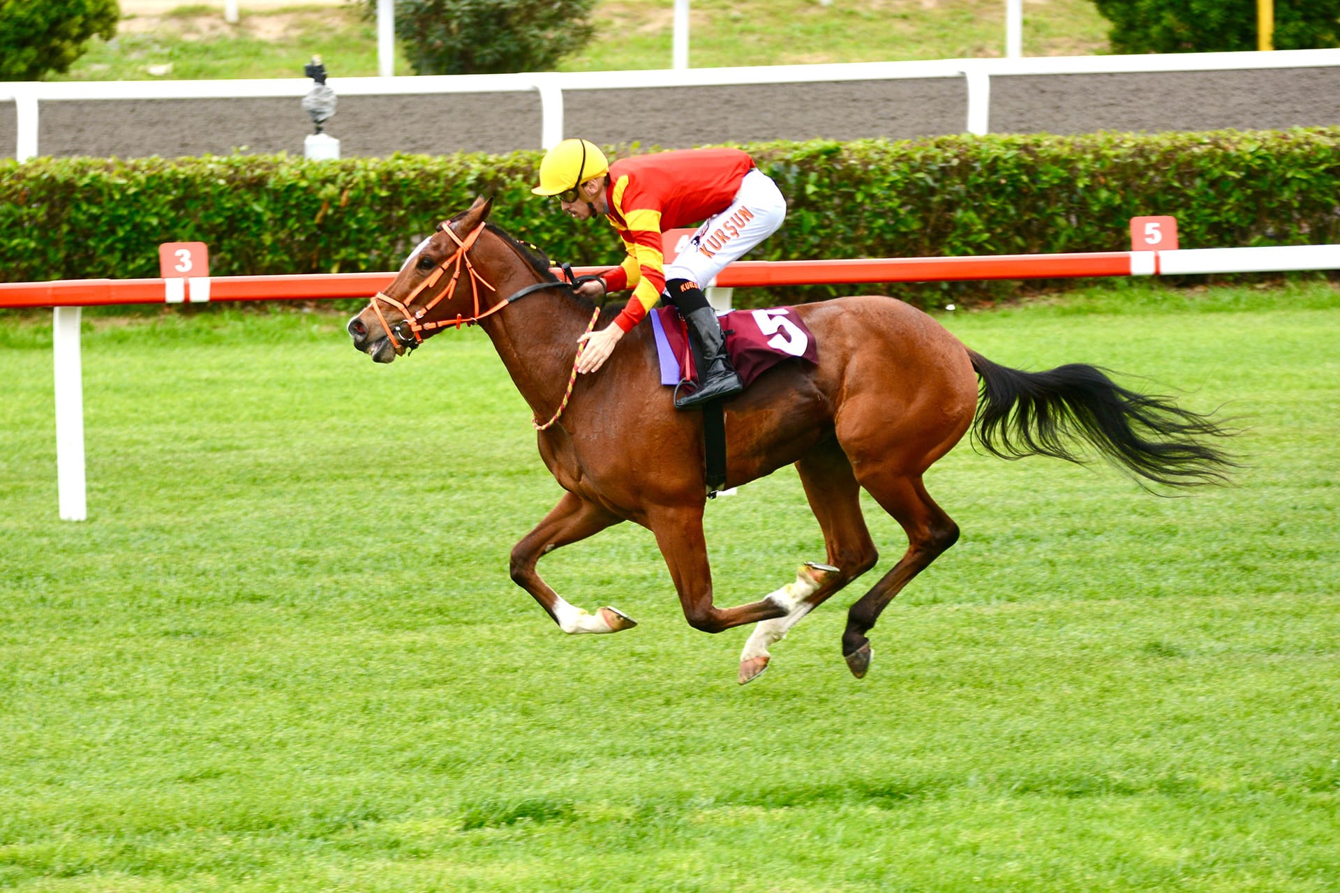 Dragon Flame ve jokeyi Ayhan Kurşun