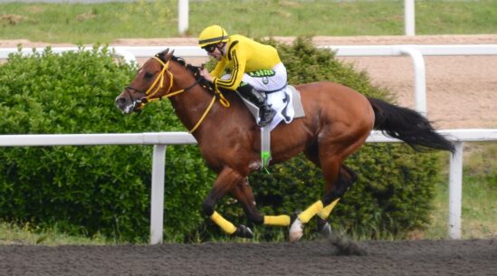 Alihan Kazanarak Döndü