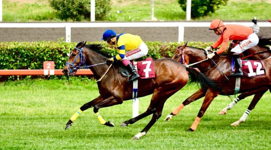 Bizim İçin Özlediği Birinciliğe Kavuştu