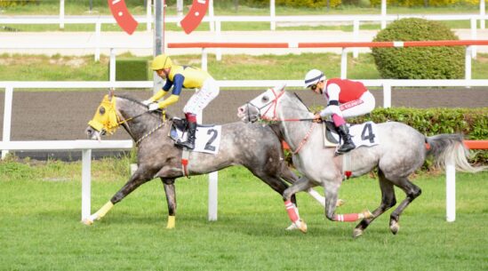 Deniz Efe Bildiğimiz Gibi