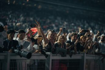 Muhteşem Atlar Görkemli Atmosfer