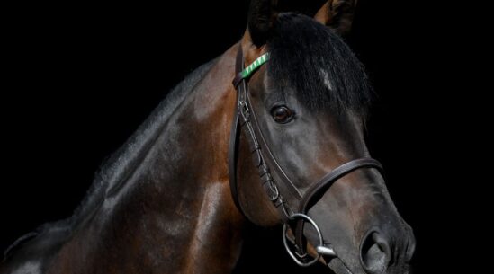 Fearless King Yakında Türkiye’de