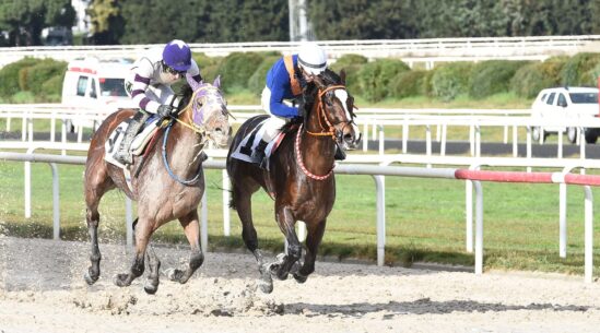 İzmir’de Kazanan Atlar Farklı, Formalar Aynı