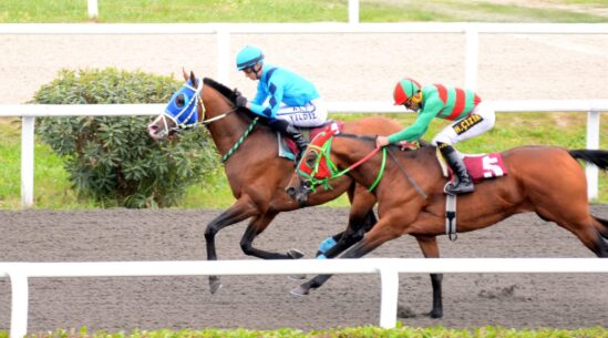Koca Seyid Bu Pisti Seviyor