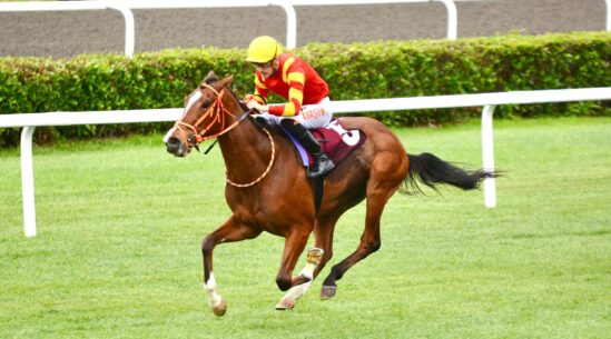 Dragon Flame Kazanmaya Devam Ediyor