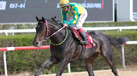 Zolo Muum Kolay Kazandı