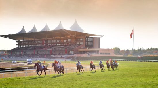Türk Atçılığında Cumhuriyet Coskuşu