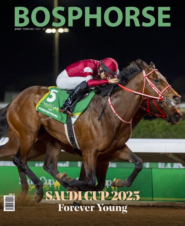 Şubat / February 2025