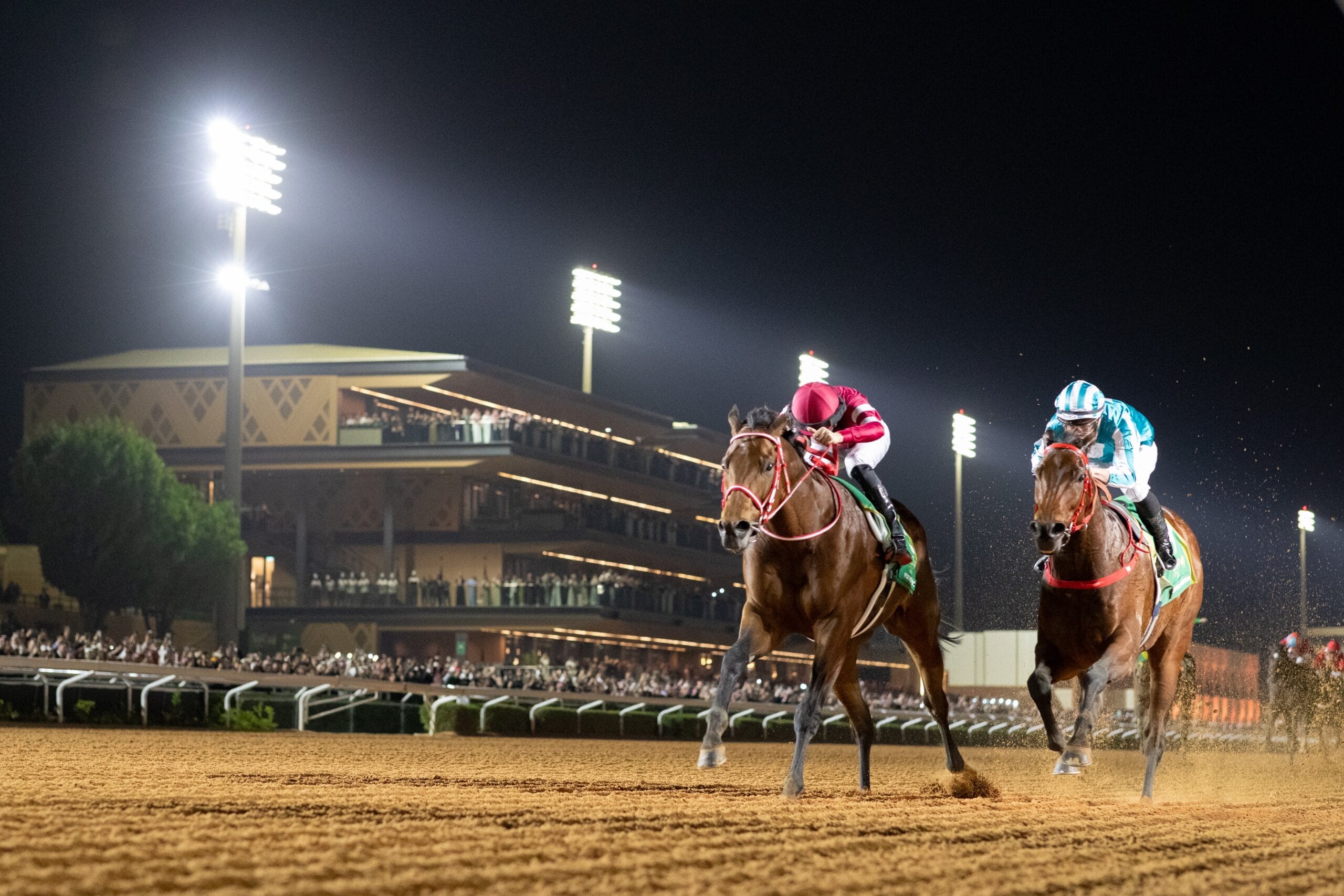 Forever Young ve Breeders’ Cup Classic: Japonya’nın Tarihi Zaferi