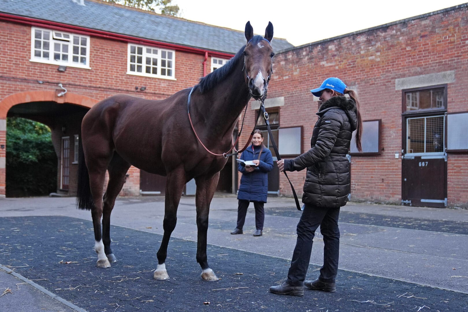Shirley Anderson-Jolag: Tattersalls’ta İlk Kadın Müzayedeci Shirley Anderson-Jolag: Tattersalls’ta İlk Kadın Müzayedeci