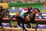 Forever Young ve Breeders’ Cup Classic: Japonya’nın Tarihi Zaferi