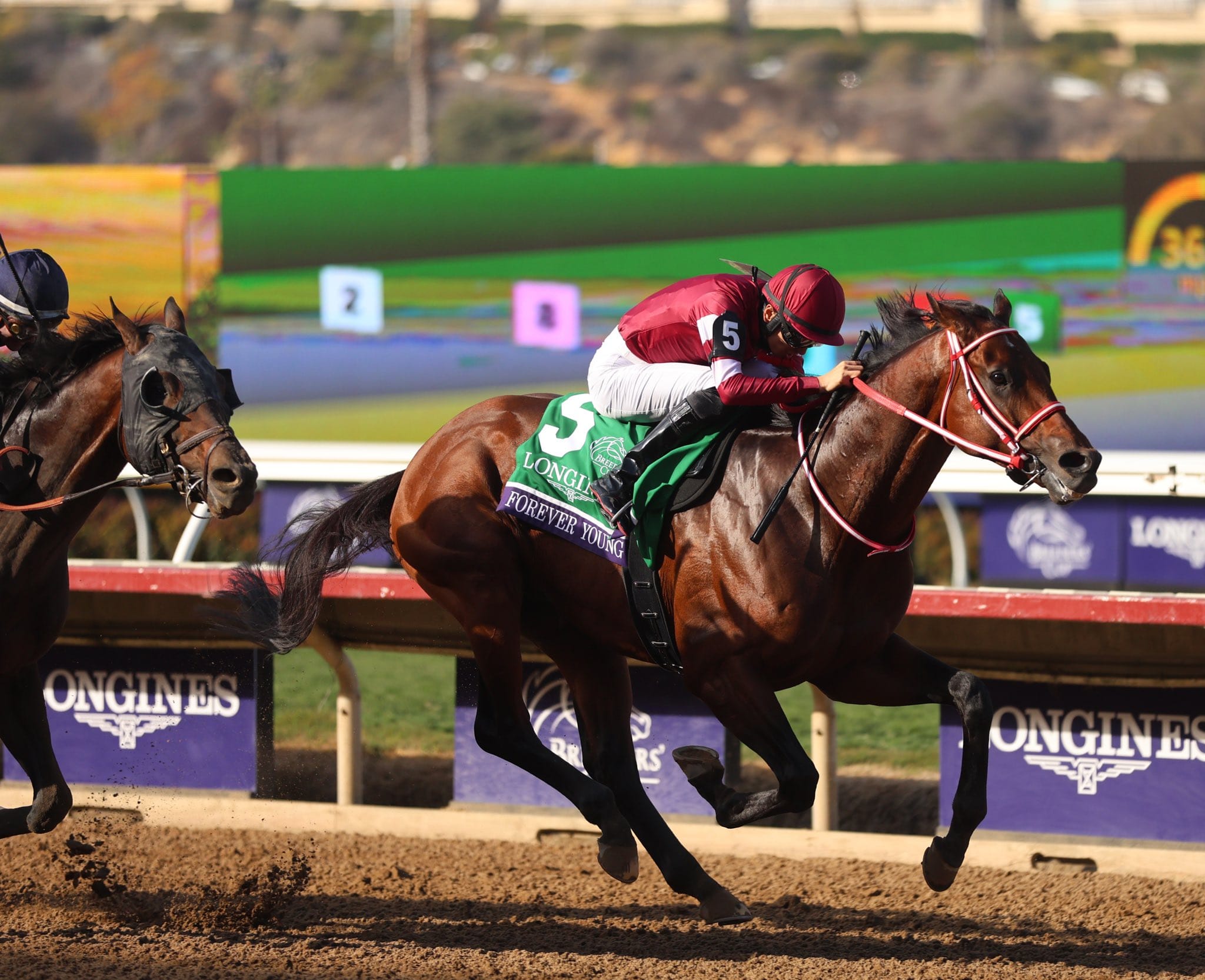 Forever Young ve Breeders’ Cup Classic: Japonya’nın Tarihi Zaferi